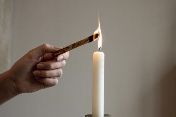 Palo Santo (5 sticks)