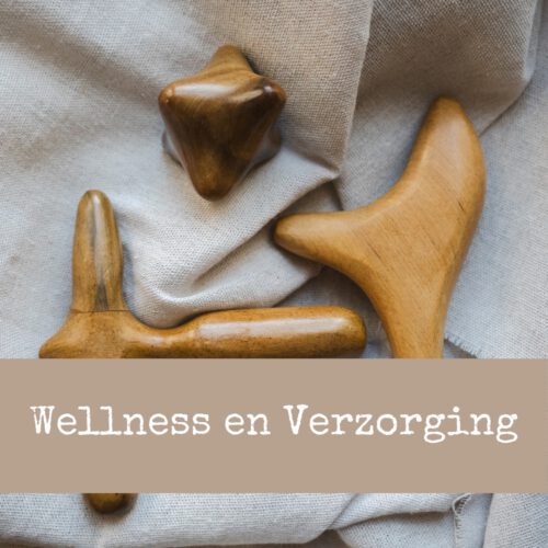 Button Categorie Wellness en Verzorging